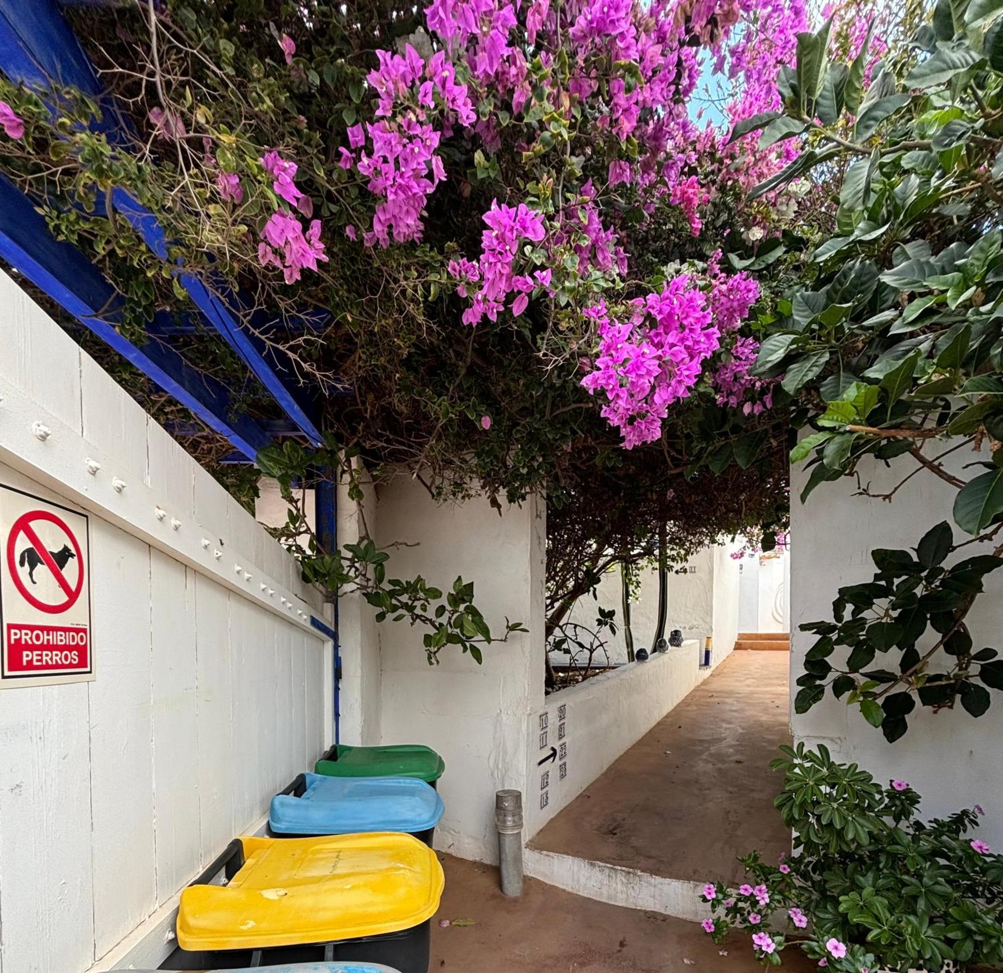 Apartamentos Y Habitaciones Villa Marina 라 칼레타 외부 사진