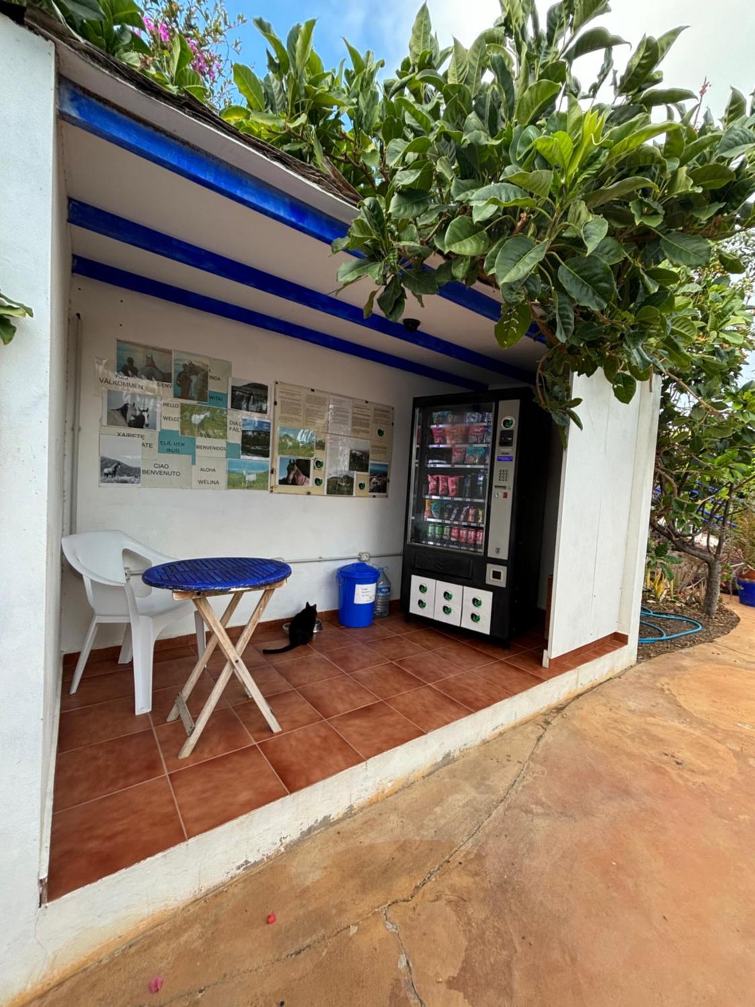 Apartamentos Y Habitaciones Villa Marina 라 칼레타 외부 사진